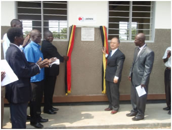 Uncovering of the plaque