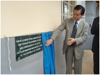 Uncovering of the Plaque