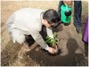Ambassador planting the memorial tree