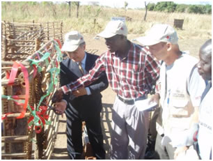 Cutting of the ribbon