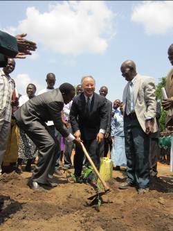  Planting avocado tree