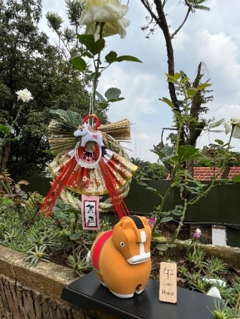 今年の干支は午です